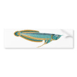 arowana bumper sticker bumper stickers