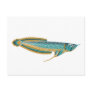 arowana postcard