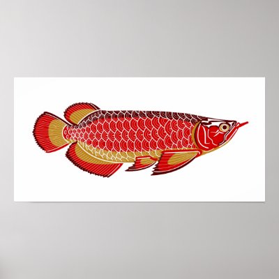 arowana poster by oldasgold