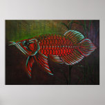 Arowana Poster