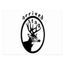 Arrived stag! postcards