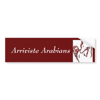 Arriviste Arabian Bumper Sticker by mmahler