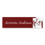 Arriviste Arabian Bumper Sticker bumper stickers