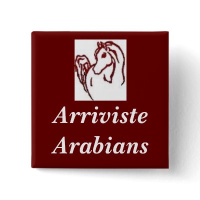 Arriviste Arabians Pin by mmahler