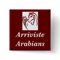 Arriviste Arabians Pin