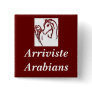 Arriviste Arabians Pin