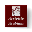 Arriviste Arabians Pin buttons