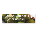 Arsenic Loves Brussels Bumper Stickers