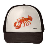 Art Cap: Cornish Padstow Lobster hats