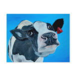 art cow nosey fresian postcards