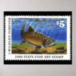 Art of Conservation Stamp – 2000 Poster