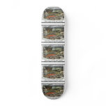 Art of Conservation Stamp – 2003 skateboards