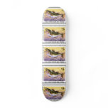 Art of Conservation Stamp – 2011 skateboards