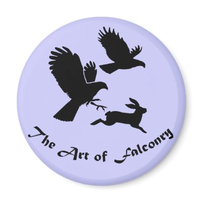 Art of Falconry - Harris Hawks Refrigerator Magnet by artoffalconry
