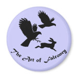 Art of Falconry - Harris Hawks magnets