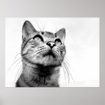 art posters