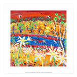 Art Print: Banrock Station Pelicans and Lilies posters