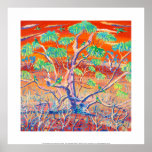 Art Print: Banrock Station Sunset Mallee Tree