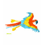 Art T-Shirt: Parrot and Seagull