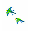 Art T-Shirt: Parrot. Blue
