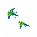 Art T-Shirt: Parrot. Blue