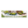 Art Text Eroxion Bumper Stickers