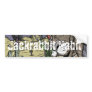 Art Text Eroxion Bumper Stickers