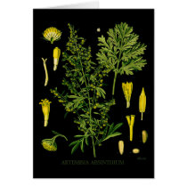 Artemesia Absinthium Greeting Card