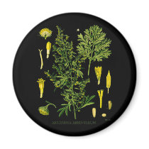 Artemesia Absinthium Magnets