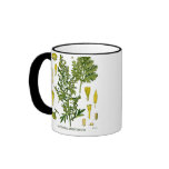Artemesia Absinthium Mugs