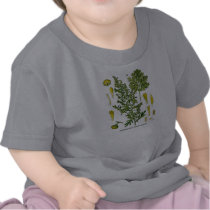 Artemesia Absinthium T-shirt