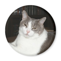 Artemis Refrigerator Magnets