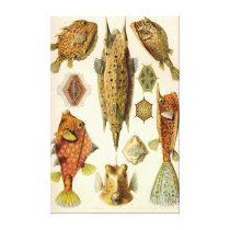 Artforms in Nature #42 Gallery Wrap Canvas