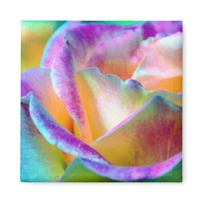 Artful Colourful Rose Square Magnet by LorrieM