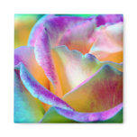 Artful Colourful Rose Square Magnet