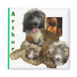 arthur magnet
