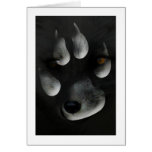Artic Fox in Paw Print Cards