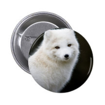 Artic Fox Pin