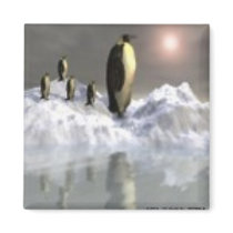 Artic Sun Magnets