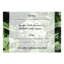 Artichoke and Leaves. Invitation