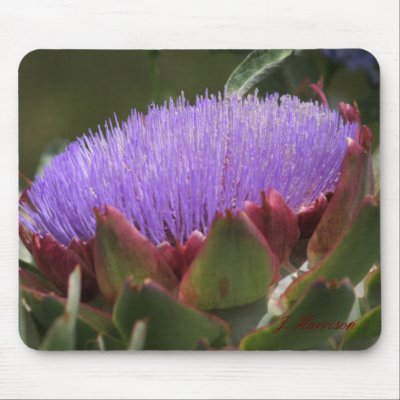 Artichoke in Bloom Mouse Mat by phipix