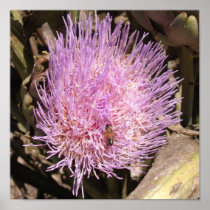 Artichoke Print