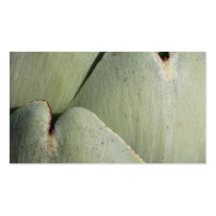 Artichoke Vegetable. Business Card Template