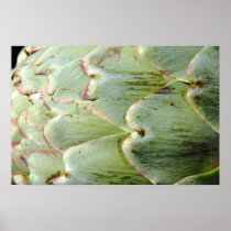 Artichoke Wall Poster
