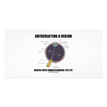 Articulating A Vision Begins Understanding Eye