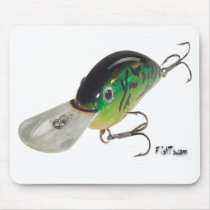 Artificial Bait, Tackle, Fishing Gear