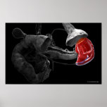 Artistic 3d rendering of the spleen posters