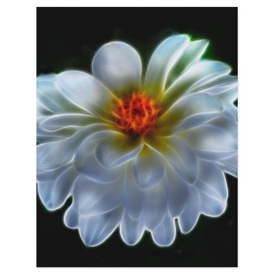Artistic dahlia and meaning full color flyer by laureenr