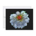 Artistic dahlia and meaning invitations