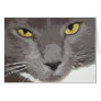Artistic Grey Cat Face Greeting Cards